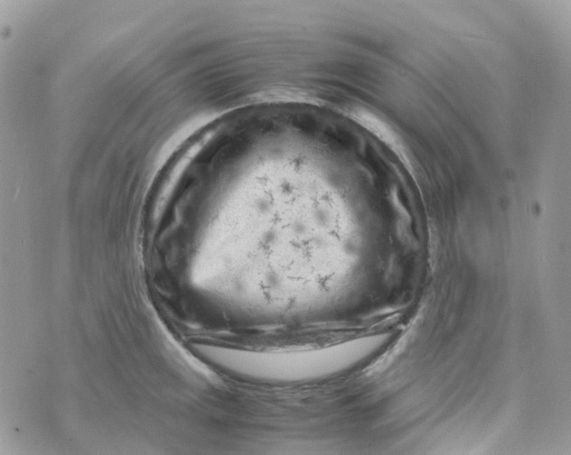 X0000070391141200606301940