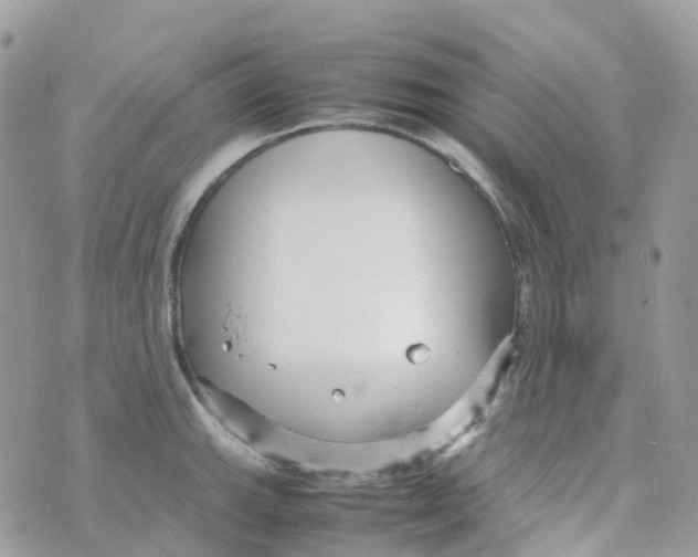 X0000070391143200606301940