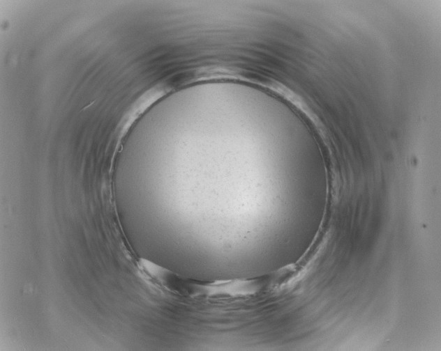 X0000070391145200606301940