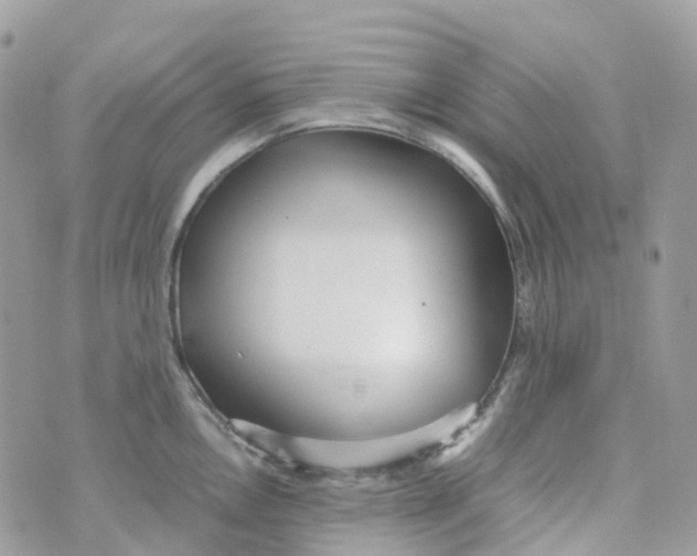 X0000070391146200606301940