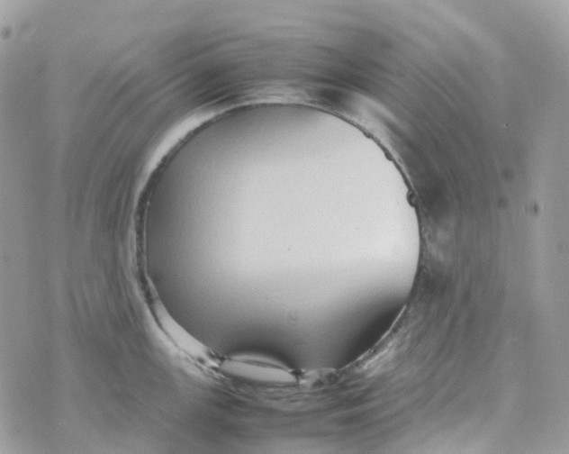 X0000070391147200606301940