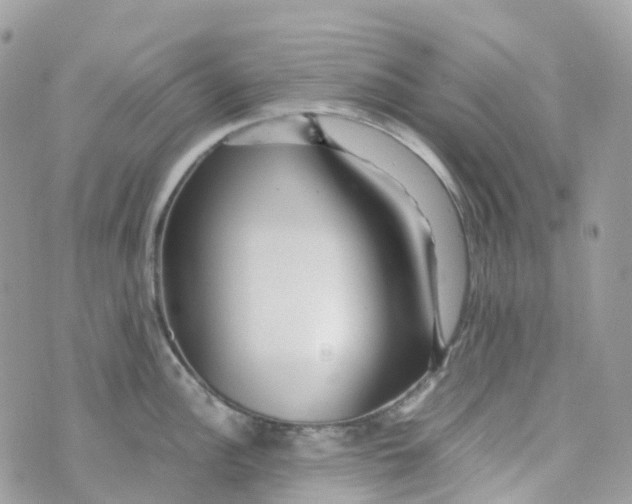 X0000070391148200606301940