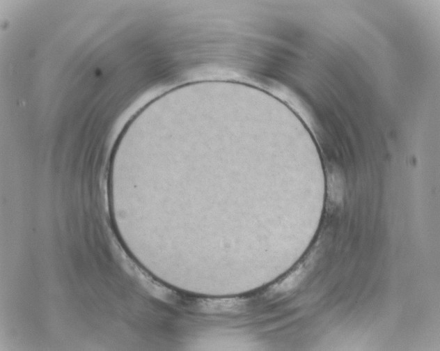 X0000070391150200606301940