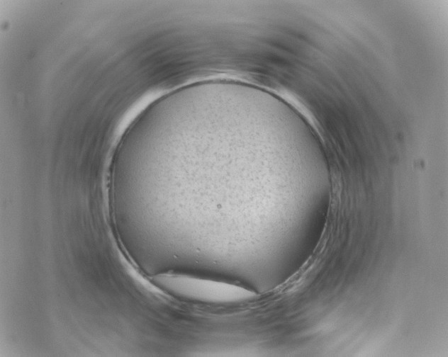 X0000070391151200606301940