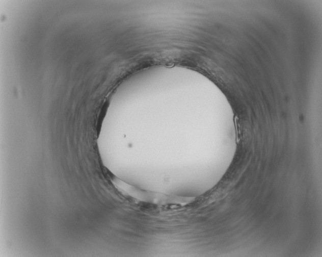 X0000070391153200606301939