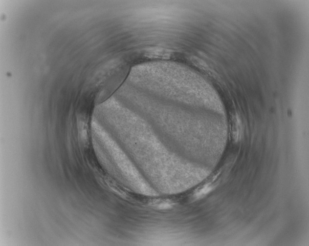 X0000070391154200606301939