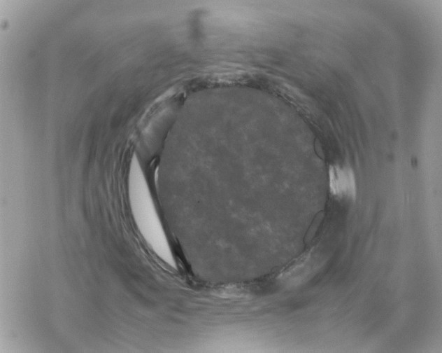 X0000070391155200606301939