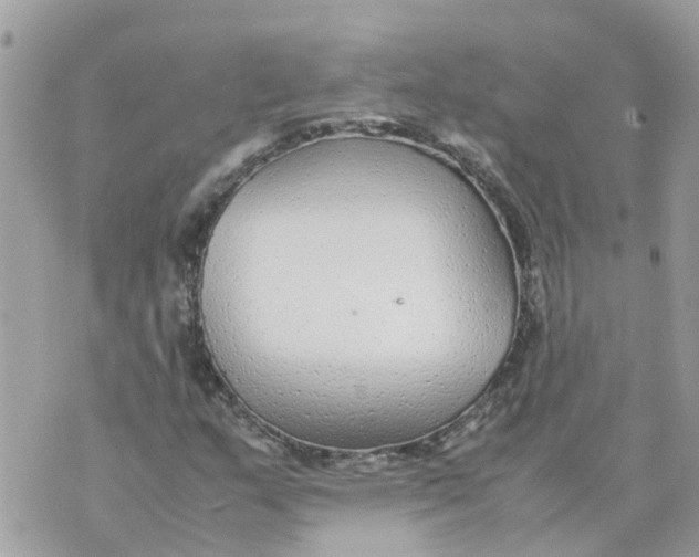 X0000070391159200606301939