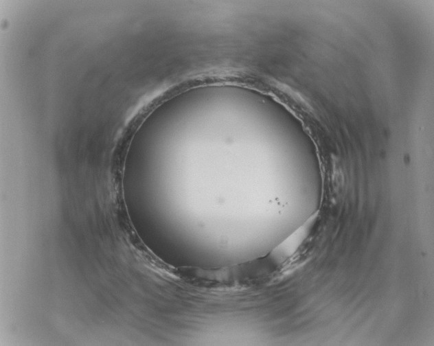 X0000070391160200606301939