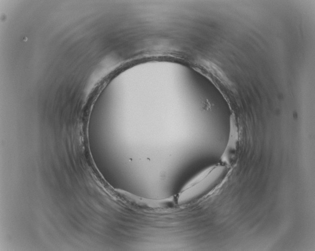 X0000070391164200606301939