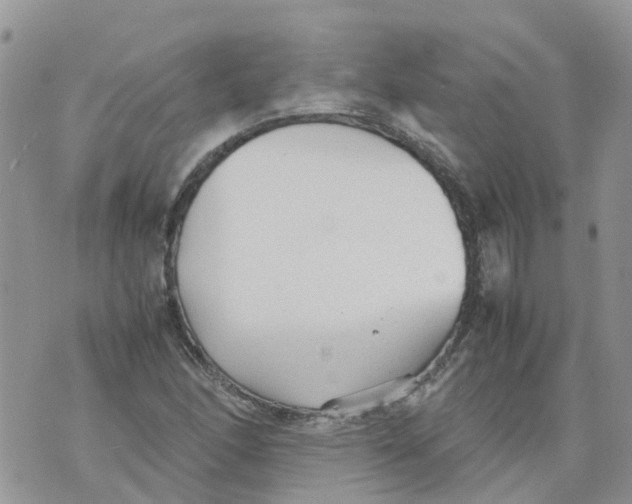 X0000070391166200606301939