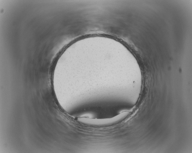 X0000070391167200606301939