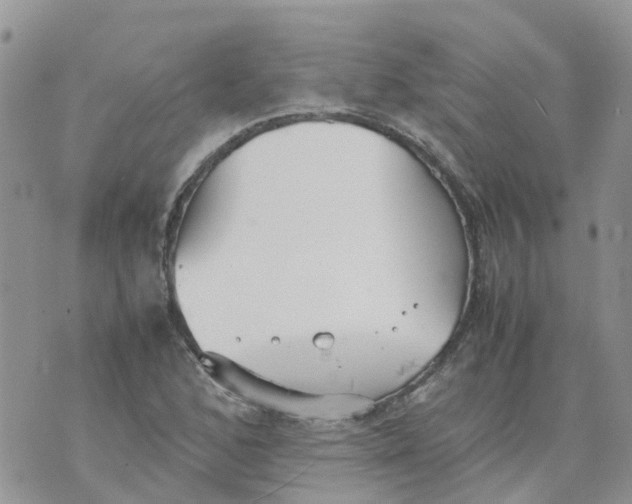 X0000070391168200606301939