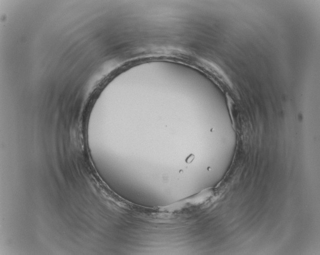 X0000070391172200606301939