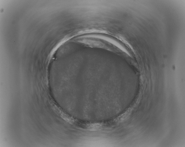 X0000070391173200606301939