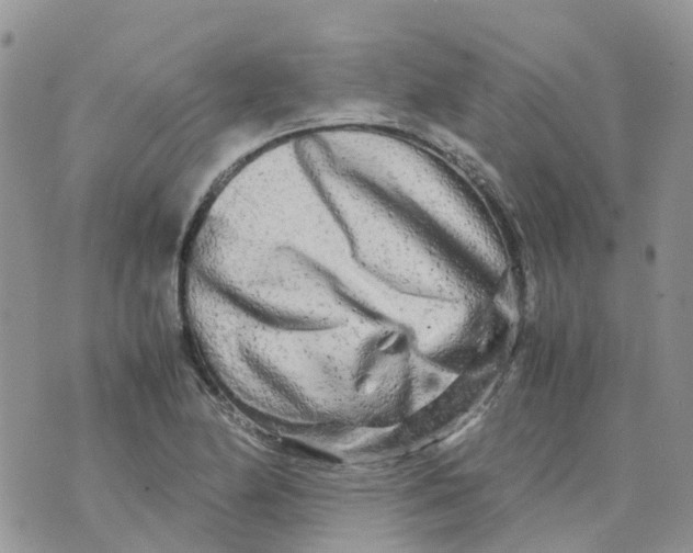 X0000070391174200606301939