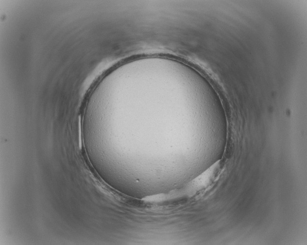 X0000070391175200606301939