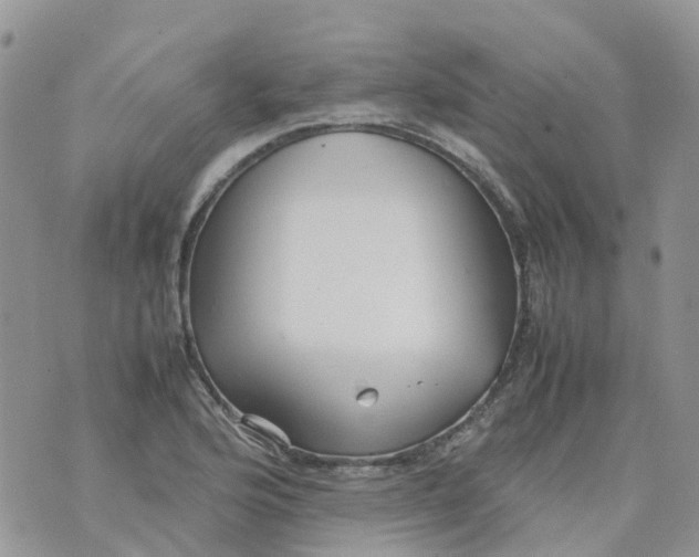 X0000070391176200606301939