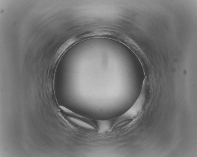 X0000070391177200606301939