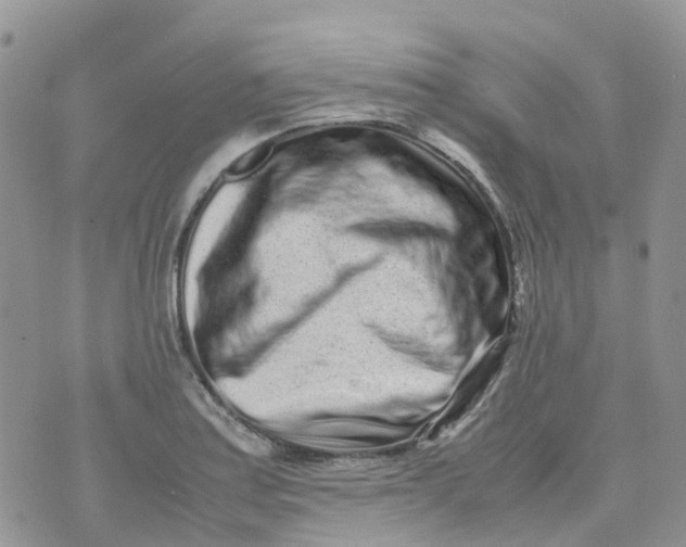 X0000070391179200606301939