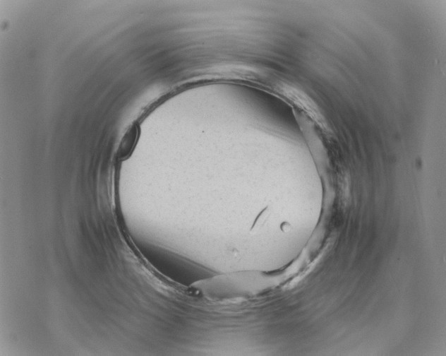 X0000070391180200606301939