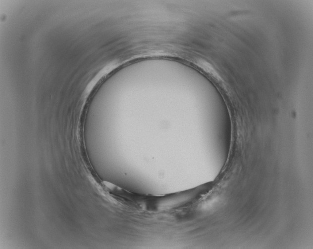 X0000070391181200606301939