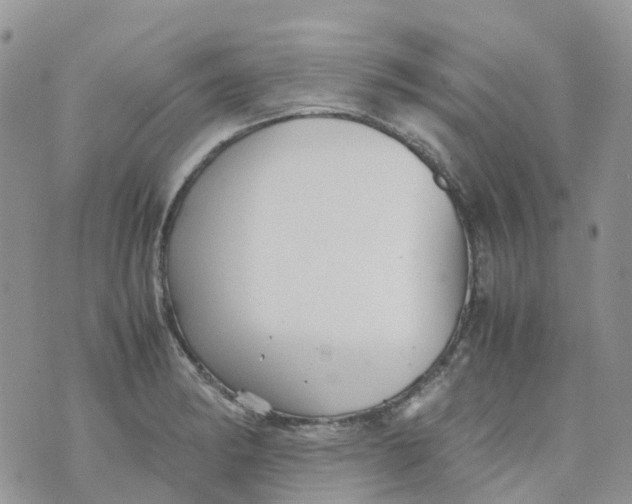 X0000070391182200606301939