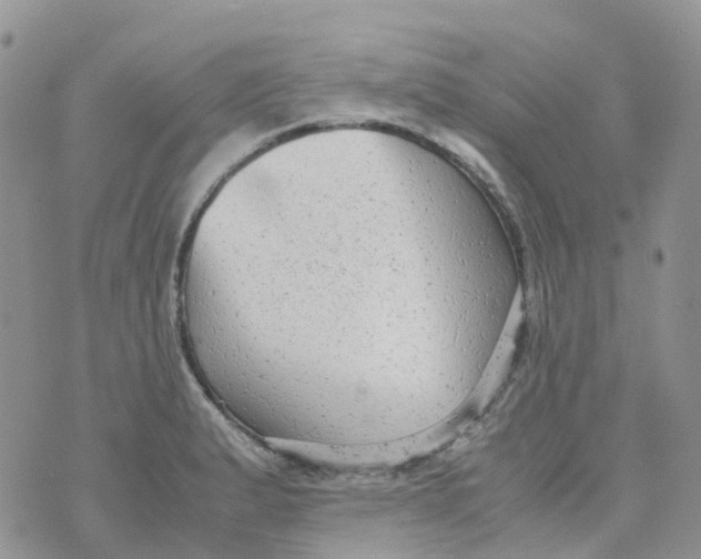 X0000070391183200606301939