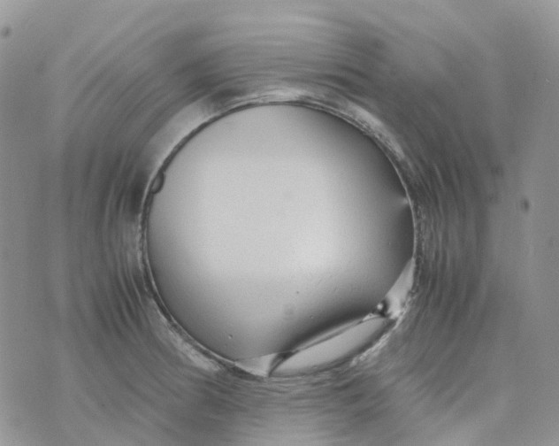 X0000070391186200606301939