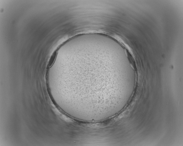 X0000070391189200606301938