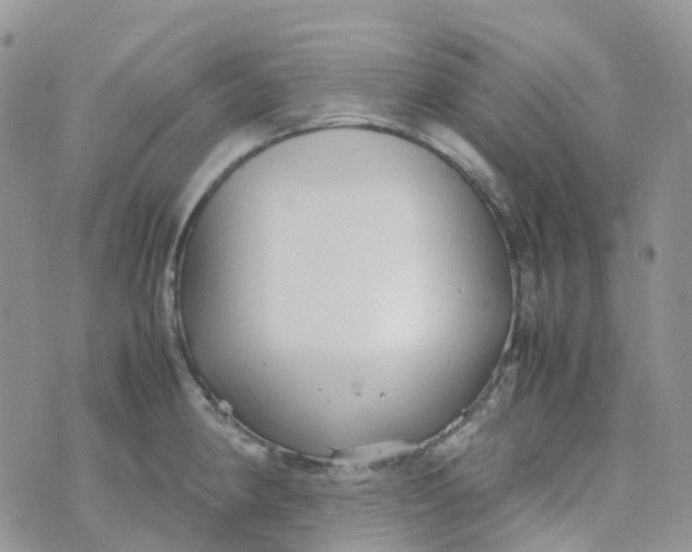 X0000070391190200606301938