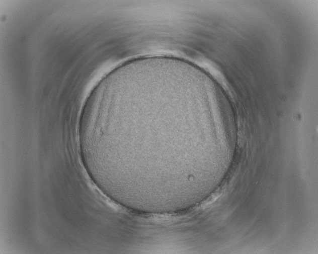 X0000070391191200606301938