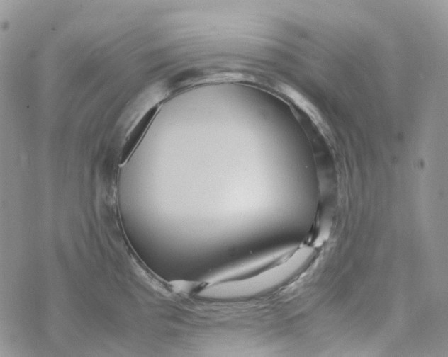 X0000070391193200606301938