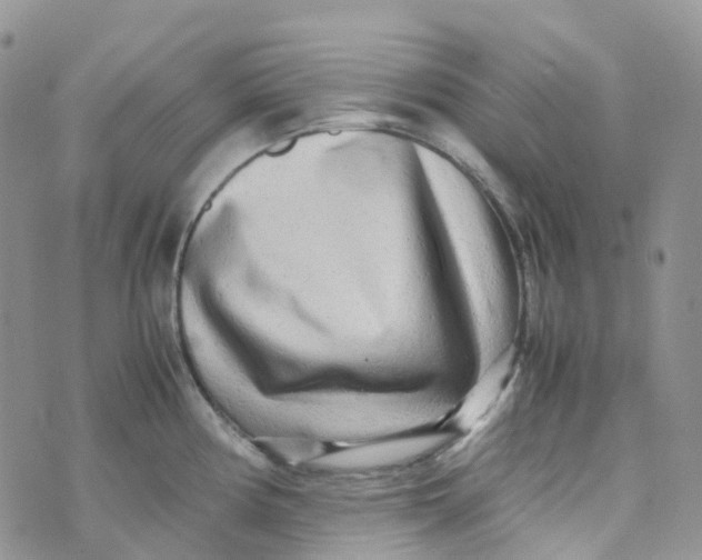 X0000070391194200606301938