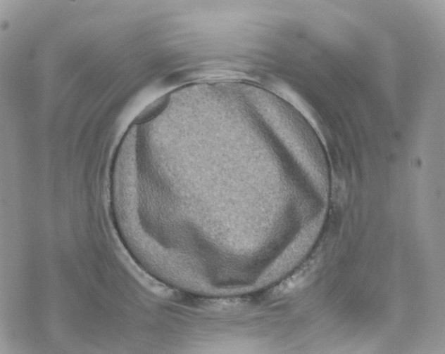 X0000070391195200606301938