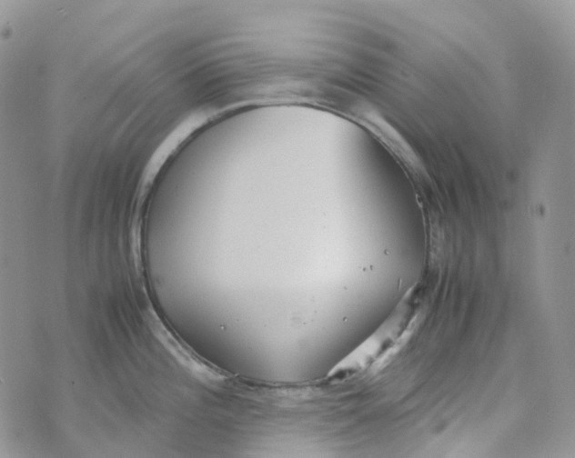 X0000070391196200606301938