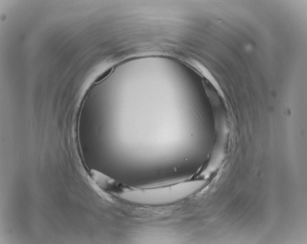 X0000070391197200606301938