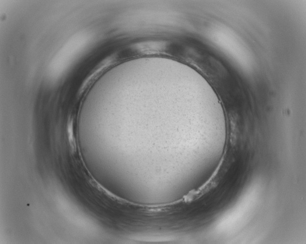 X0000070391198200606301938