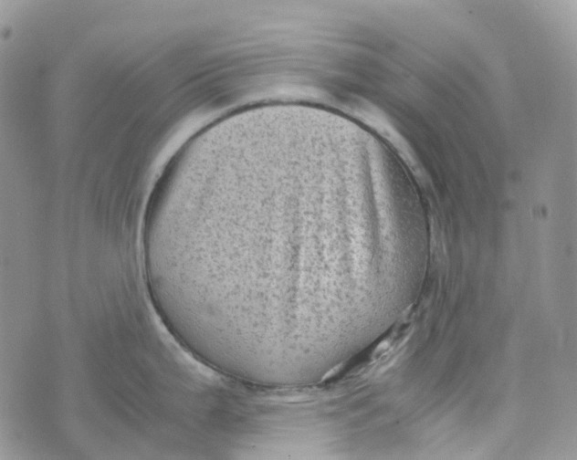 X0000070391199200606301938