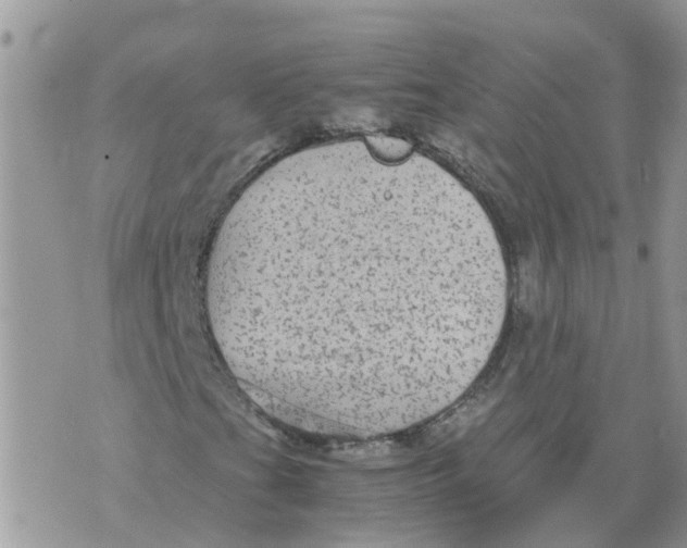 X0000070391201200606301938