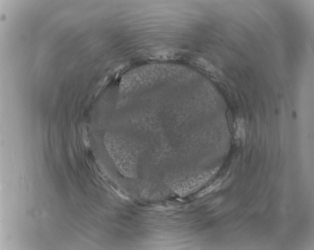 X0000070391202200606301938