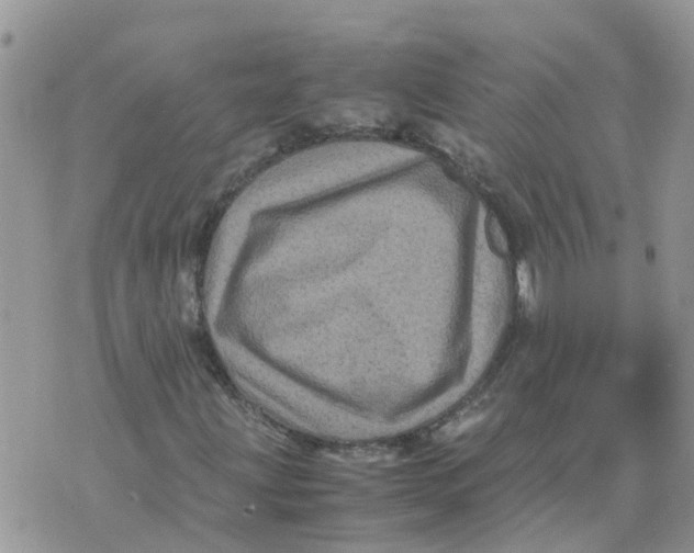 X0000070391203200606301938