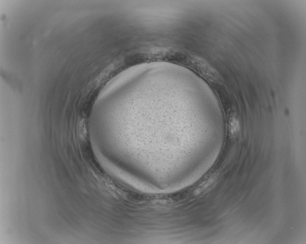 X0000070391204200606301938