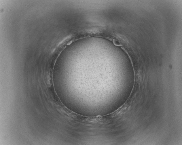 X0000070391205200606301938