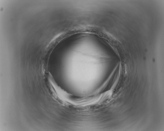 X0000070391206200606301938