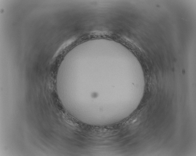 X0000070391207200606301938