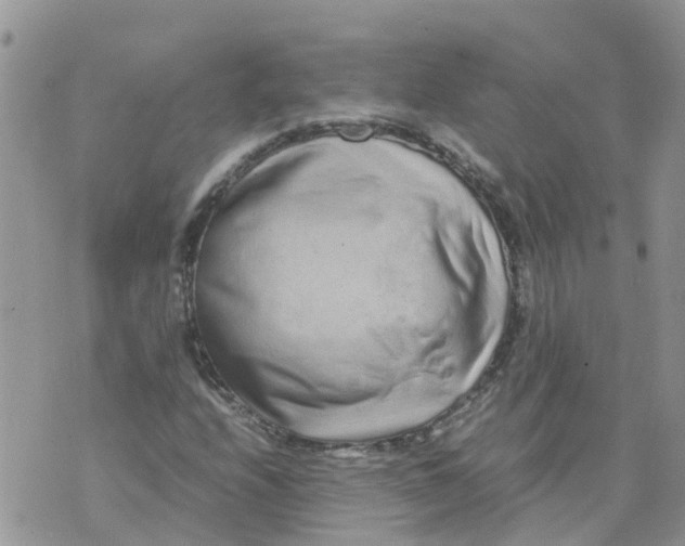 X0000070391208200606301938