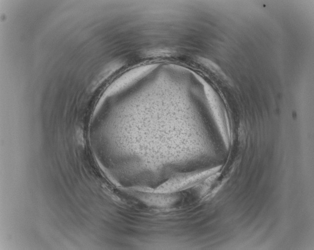 X0000070391209200606301938