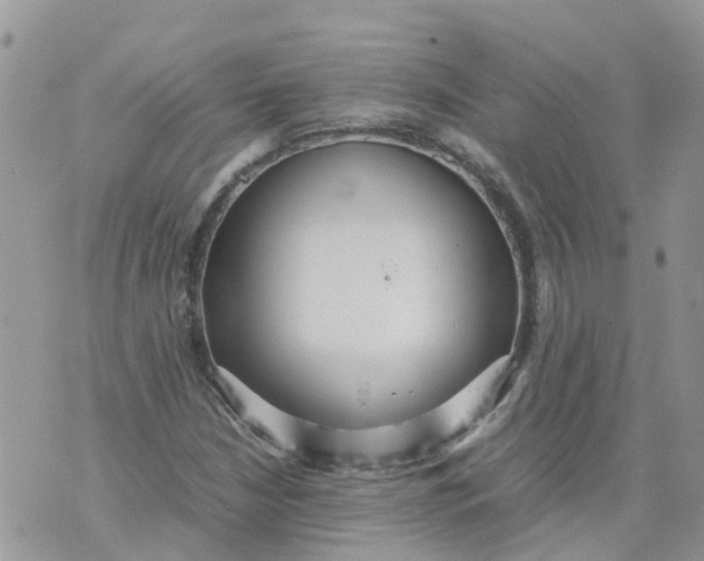 X0000070391210200606301938