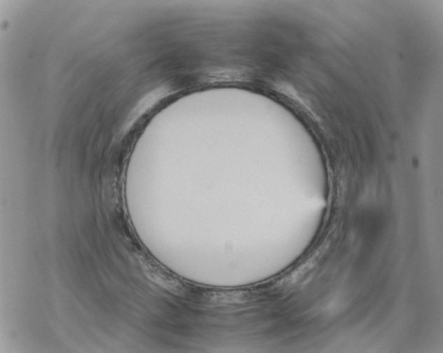 X0000070391211200606301938